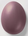 306-aubergine-2-831b.jpeg