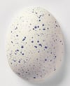 356-blaugranitti-e23-83.jpeg