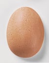 369-mediterran-gelb-e-4806.jpeg