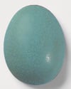 371-blauturkis-63bd7b.jpeg