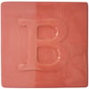 9060-orange-1b-856.jpeg