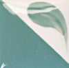 cn-152-bright-blue-spruce-a2d8-2.jpeg
