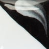 cn-244-really-white-beyaz-siralti-27b647.jpeg