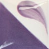 cn-262-bright-grape-d-b81f.jpeg
