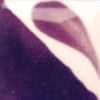 cn-323dark-plum-7dcd-4.jpeg