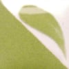 cn-331light-olive-edc-ff.jpeg