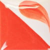 cn-506-neon-coral-66881d.jpeg