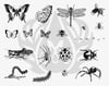 designer-silkscreen-bugs-dss-0113-d337ce.jpeg