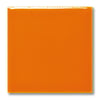 fg-1041-orange-3e5ba7.jpeg