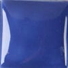 in-1048-delphinium-e3a-42.jpeg