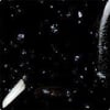 in-1216-very-black-sprinkles-cb4540.jpeg