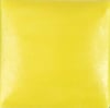 sn-378-neon-chartreuse-1-9eca.jpeg