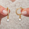 Gümüş Zirkon Taşlı Gold Halka İnci Küpe