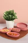 Gül Kurusu Deniz Çerezlik/Sosluk 14 Cm 6 Adet