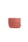 Gül Kurusu Deniz Çerezlik/Sosluk 14 Cm 6 Adet