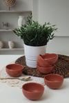 Kızıl Kahve Bulut Mini Çerezlik / Sosluk 8 Cm 6 Adet 607