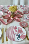 pink-line-kahvalti-takimi-28-parca-6-k-5c-455.jpg