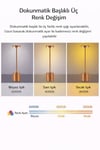 Dekoratif Masa üstü Şarjlı Dokunmatik Masa Lambası Rose Gold 3 Işık Renkli Dimerli Metal