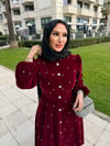 RUBE ROYAL STARLİGHT VELVET DRESS