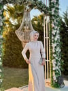 SWAROVSKİ DRESS