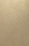 PE TGIC METALİK SARI S366 MAT