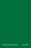 PE TGIC RAL 6029 MAT