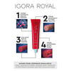 Igora Royal Tüp Boya Turunculaşma Önleyici 0-22 60 ml