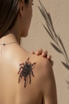 3D Gerçekçi Örümcek (Tarantula) Yarı Kalıcı Dövme / 1 Ay Kalıcı - Gölgeli ve Boyutlu Geçici Sırt Dövmesi