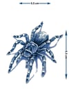 3D Gerçekçi Örümcek (Tarantula) Yarı Kalıcı Dövme / 1 Ay Kalıcı - Gölgeli ve Boyutlu Geçici Sırt Dövmesi