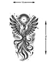 MTBS-029