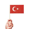 Ay Yıldızlı Çıtalı Bayrak 24 cm