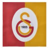 Galatasaray  Temalı Kağıt Peçete 16 Adet