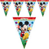 Mickey Mouse Temalı Bayrak