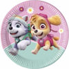 Paw Patrol 8 li Tabak ( Everest ve Skye )