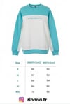 Erkek Bisiklet Yaka Çift İplikli Baskılı İçi Pamuklu Sweatshirt