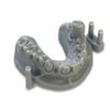  Alias Dental Model (Pro)