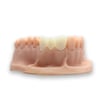  Alias Dental Temp C&B