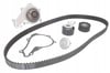 DAYCO KTBWP3100-EKSANTRIK KIT+DEVIRDAIM 1.4 HDI P307 01 > 0831.T3