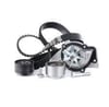 INA 530047030-EKSANTRIK TRIGER SETI+DEVIRDAIM 2.0 HDI CITROEN BERLINGO 03 > 0831.V3