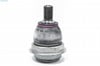 KRAFTVOLL 13010334-ROTIL ON ALT EXPERT 16 > 9834599080