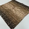 ARSEL MODA soft Pamuklu Eşarp LRB0705