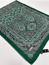 QASHKA Soft Pamuklu Şal Etro Desen LBD0913