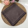 Silk Home Shiny Kristal Eşarp LKS0919