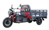 AR 1000 MOPED