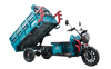AR 1000 MOPED