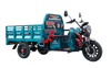 AR 1000 MOPED