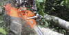 Husqvarna 365 X-Torq 3.4 kW Benzinli Motorlu Testere