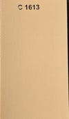 Bej 450 Denye Pvc Branda 
