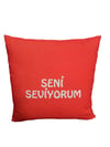 Seni Seviyorum Kırlenti
