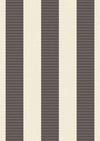 Stripe Gri Çizgili